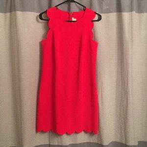 J Crew Scallop Edge Shift Dress